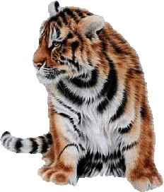 md2.gif