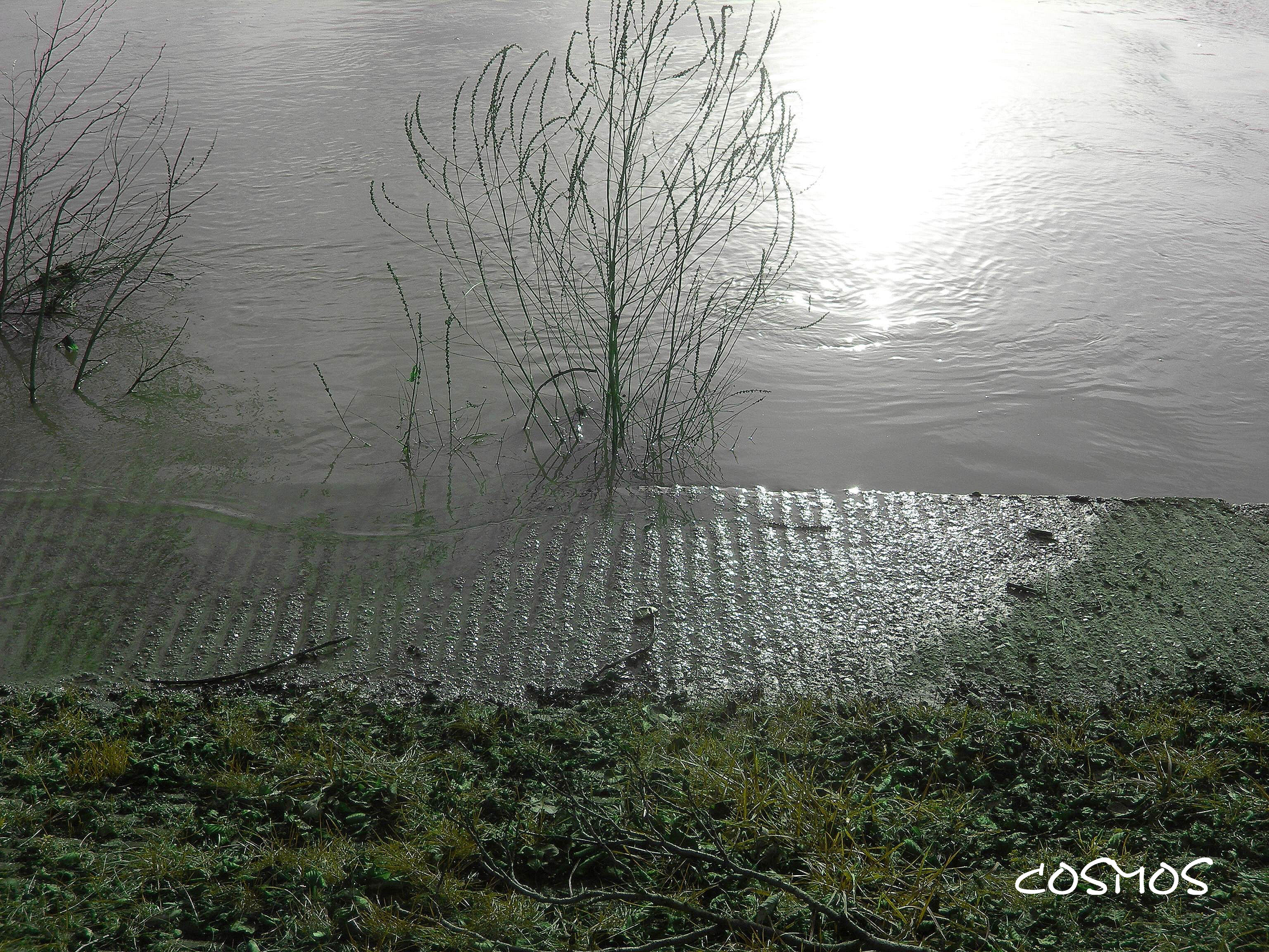 ime les bords de marne