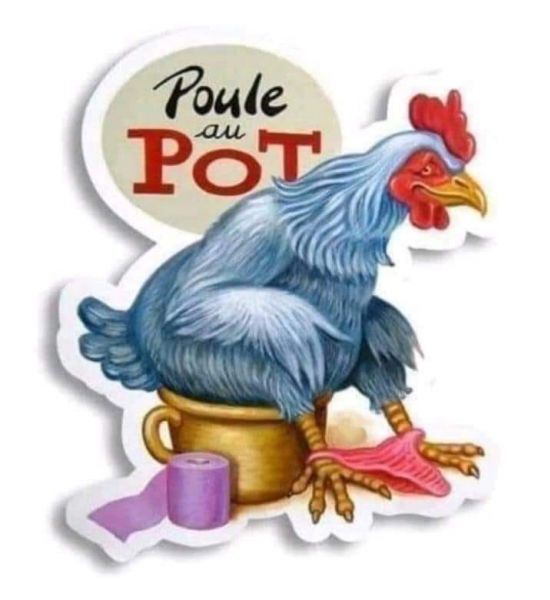 HUMOUR LA POULE AU POT